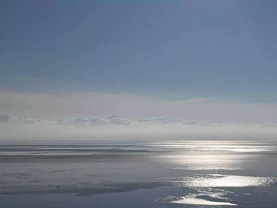 Ростовские ученые предложили сократить перечень орудий для промысла в Азовском море