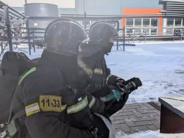 Фото к материалу: За сутки в Ростовской области потушили 15 пожаров