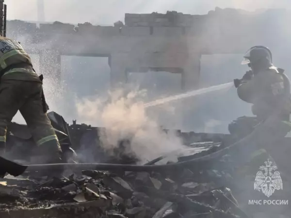 Фото к материалу: С начала года в Ростовской области количество пожаров увеличилось на 11%