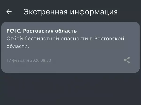 Фото к материалу: В Ростовской области объявили отбой беспилотной опасности