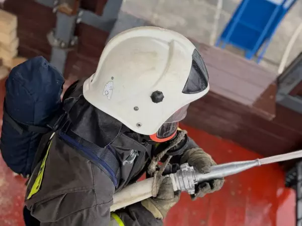 Фото к материалу: За сутки в Ростовской области потушили 17 пожаров