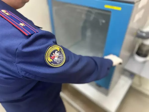 Фото к материалу: Уголовное дело возбудили по факту происшествия в Неклиновском районе