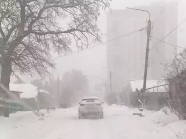 Фото к материалу: Глава Батайска признал, что с уборкой снега подрядчик не справился