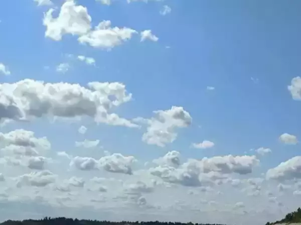 Фото к материалу: В ночь на 12 февраля атаку БПЛА отразили на севере Ростовской области