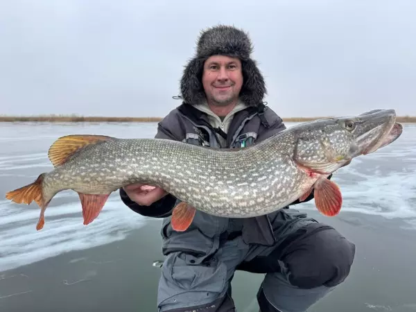 Фото к материалу: Рыбак из Ростовской области поймал щуку-гиганта весом почти 10 килограммов