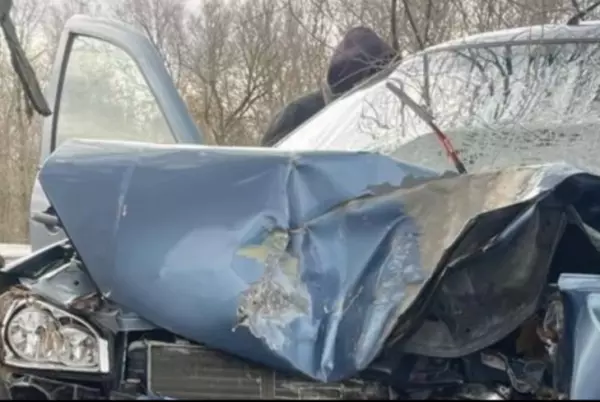 Фото к материалу: В Ростовской области водитель ВАЗа умер, врезавшись в дерево