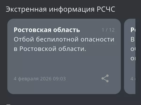 Фото к материалу: В Ростовской области сняли режим беспилотной опасности утром 4 февраля