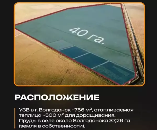 Фото к материалу: Раковую ферму за 23 миллиона рублей выставили на продажу в Ростовской области