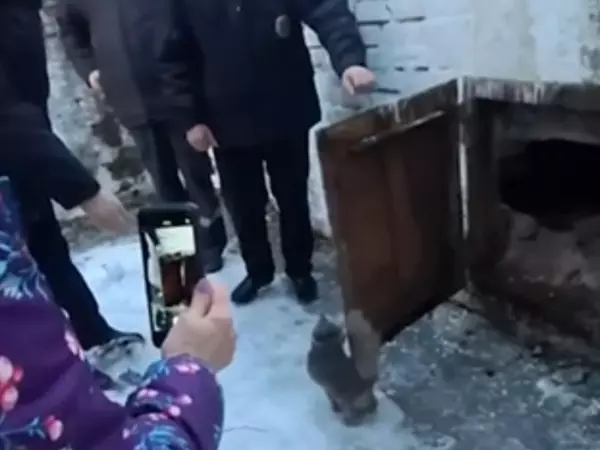 Фото к материалу: В Ростове полицейские спасли кота, которого заперли в котельной