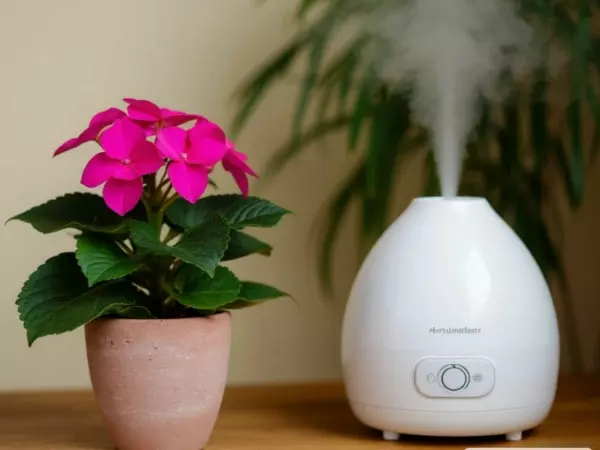 Фото к материалу: Врач из Ростовской области рассказала, чем грозит сухой воздух в квартире из-за отопления