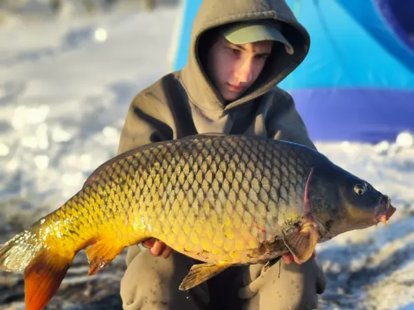 Фото к материалу: Огромного карпа в мороз поймал заядлый рыбак из Ростовской области