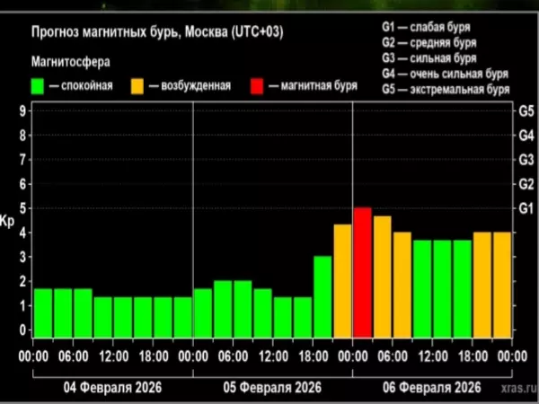 Фото к материалу: На Ростов после вспышки на Солнце обрушатся мощные магнитные бури