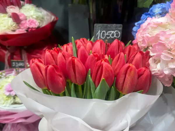 Фото к материалу: Ростовчан неприятно удивила стоимость тюльпанов к весенним праздникам