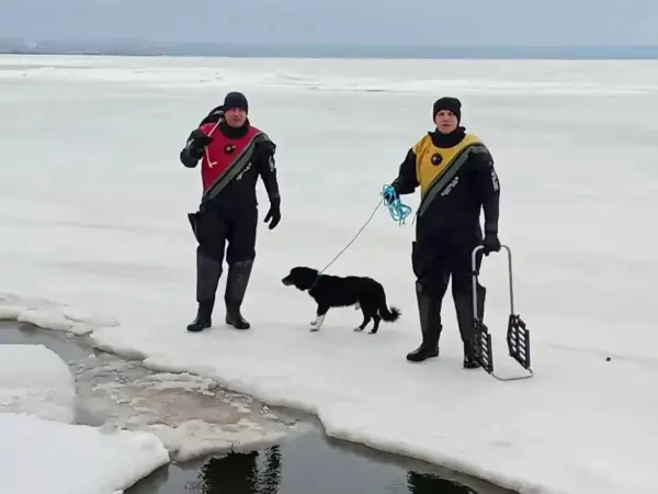 Фото к материалу: В Таганроге спасатели помогли собаке, оказавшейся в ледяной ловушке