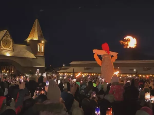 Фото к материалу: Фоторепортаж: масленичные гулянья в парке «Лога» Ростовской области