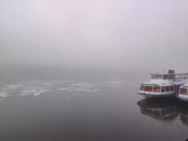 На Ростовскую область опустится туман ночью 11 марта