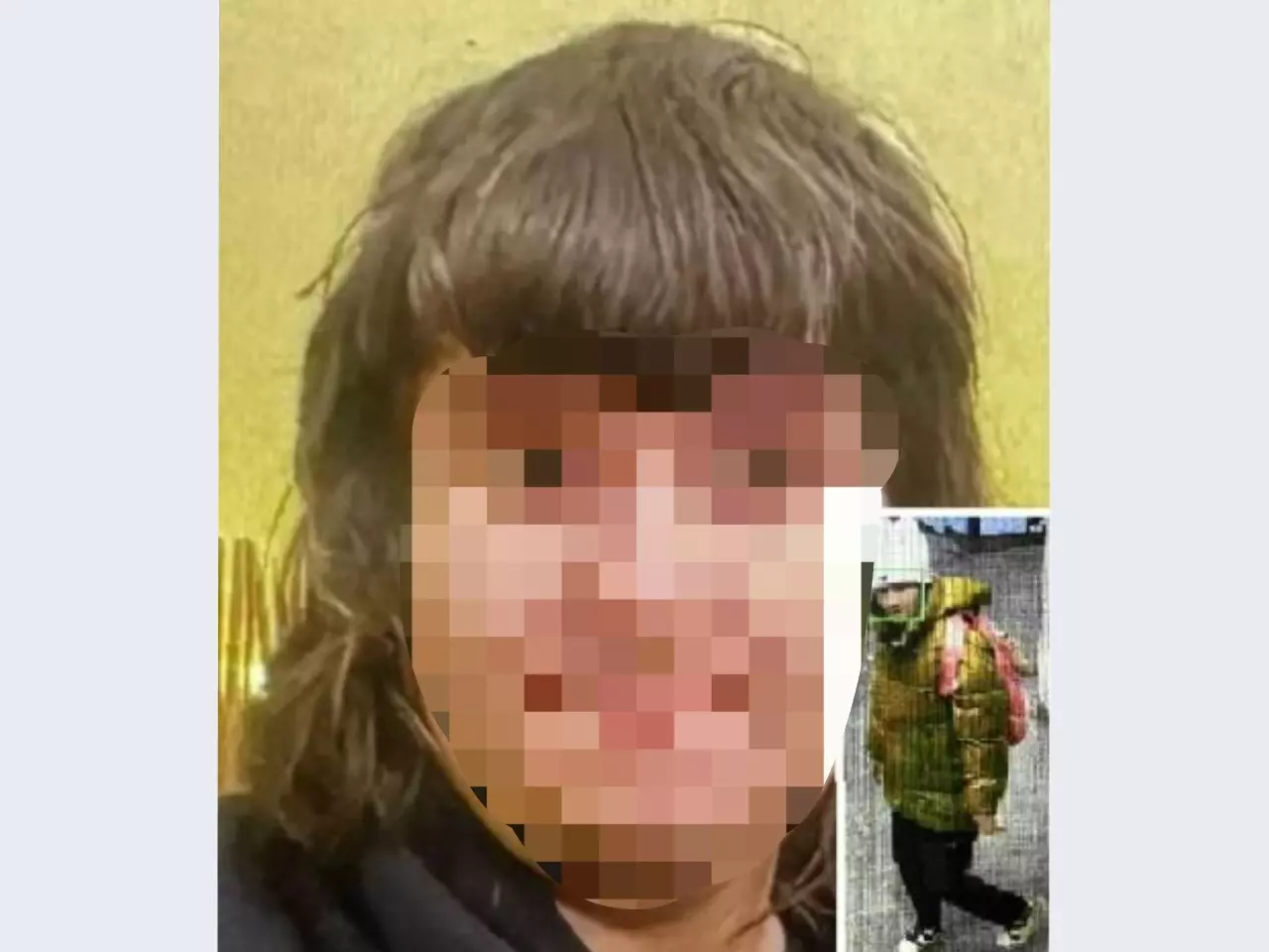 В Ростове родные ищут пропавшую без вести девочку-подростка