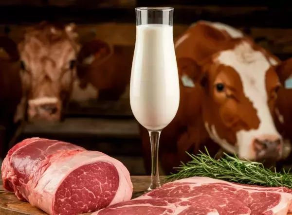 На Дону сняли ограничения на перемещение молока и скота из-за инфекционных болезней в стране