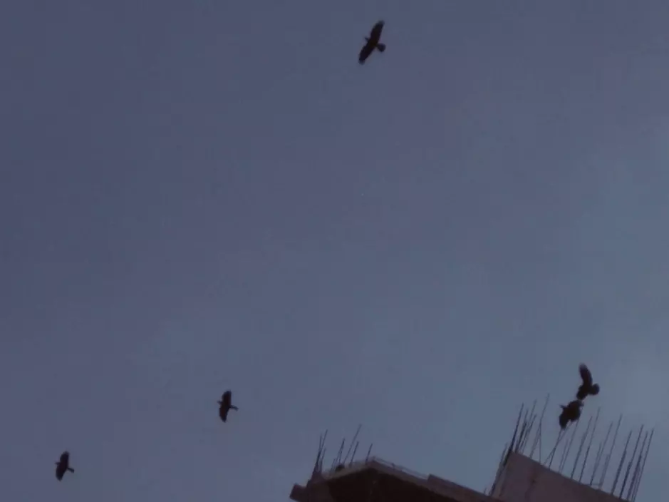 В Ростовской области объявили отбой беспилотной опасности после воздушной атаки