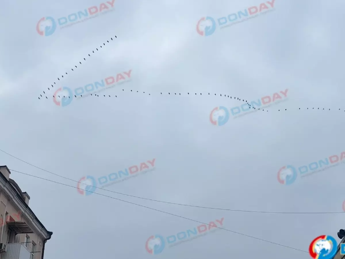 Жители Ростова запечатлели на камеру клин птиц, пролетающих над городом