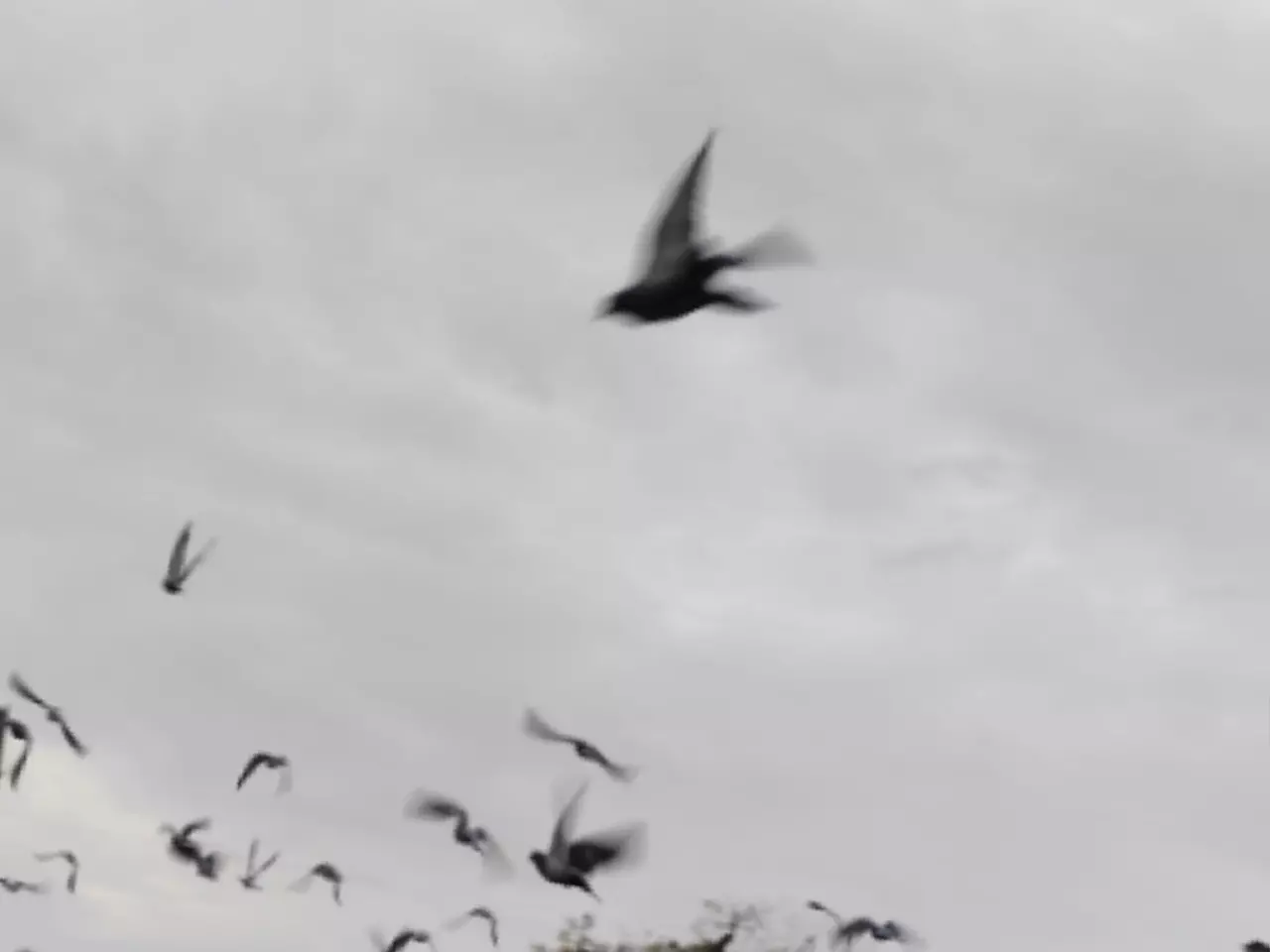 В Ростовской области сбили беспилотники в трех районах