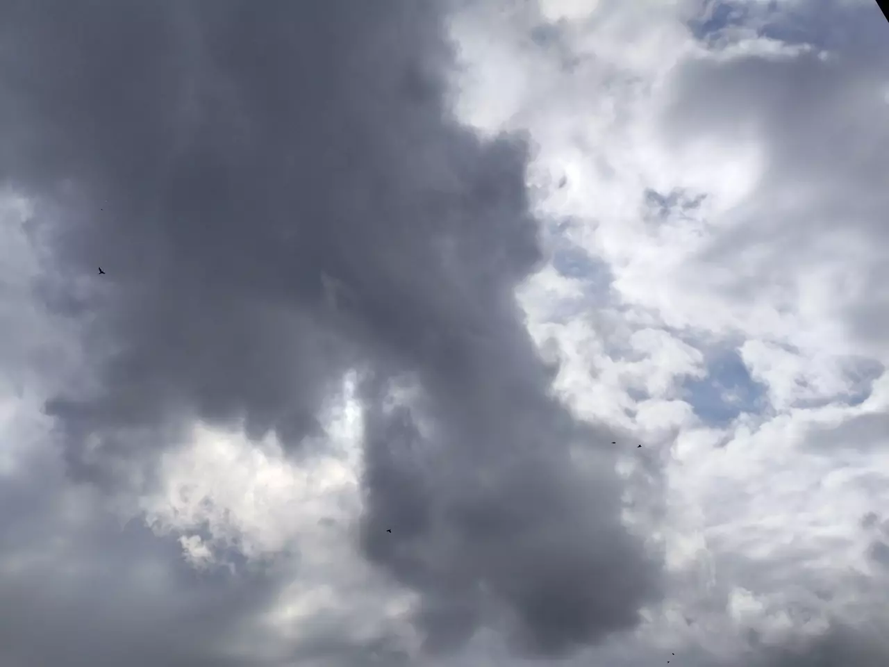 Над Ростовской областью сбили шесть дронов во время ночной атаки 16 марта