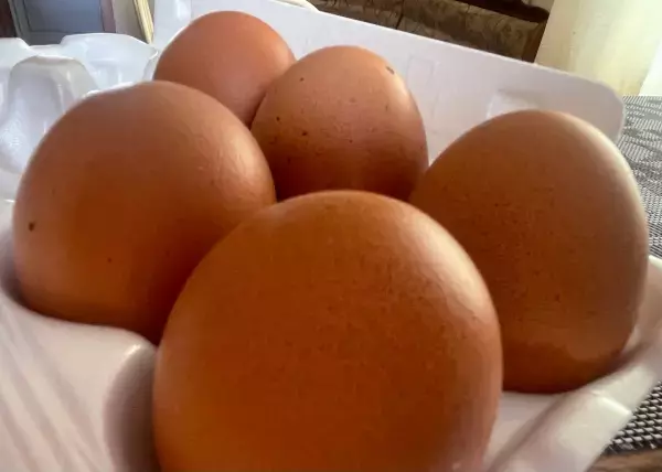 В Ростовской области яйца подорожали на 16% в феврале