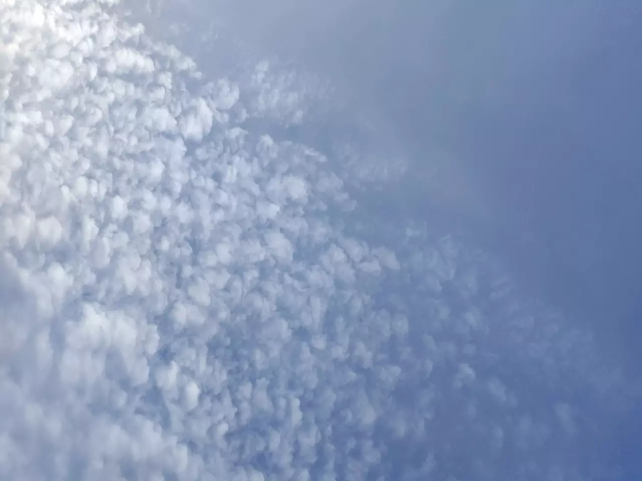 Обломки БПЛА вывезут из Таганрога, чтобы безопасно взорвать