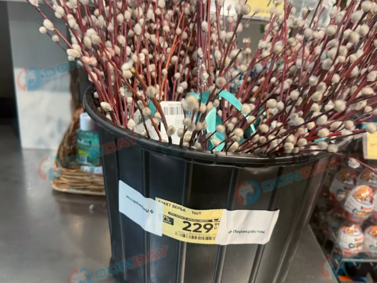 К Вербному воскресенью в Ростове продают вербу за 230 рублей