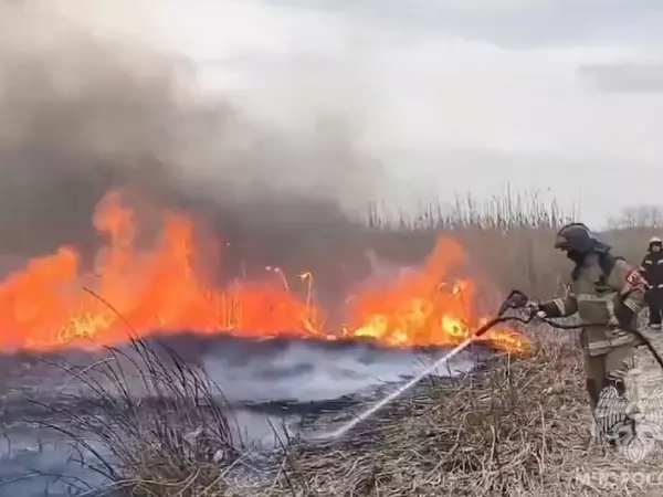 Фото к материалу: МЧС обнародовала кадры тушения крупного пожара на Левом берегу в Ростове