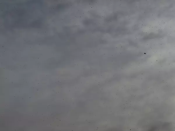 Фото к материалу: Над территорией Ростовской области сбили два беспилотника ночью 9 марта