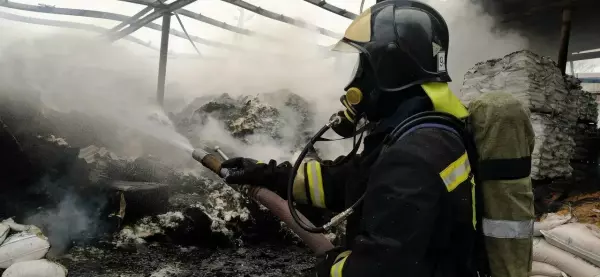 Фото к материалу: Пять человек спасли при пожарах в Ростовской области 10 марта