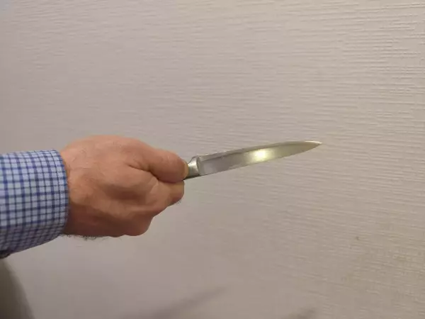 Фото к материалу: В Ростове мужчина предстанет перед судом за зверское убийство своей знакомой