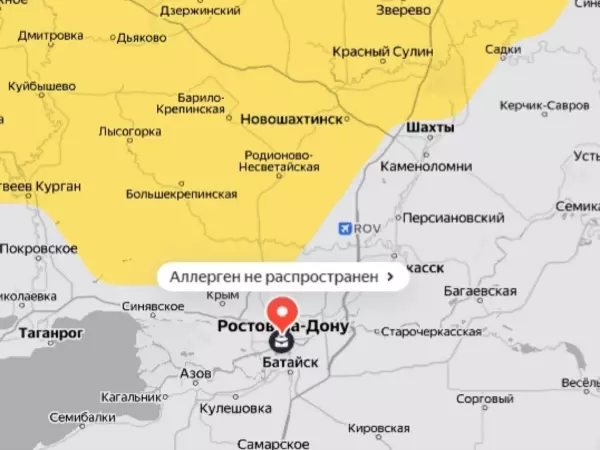 Фото к материалу: Из-за раннего потепления в Ростовской области зацвели ольха и лещина