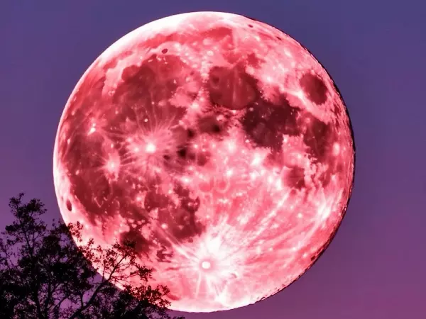 Фото к материалу: Жители Ростовской области станут свидетелями «розовой» Луны