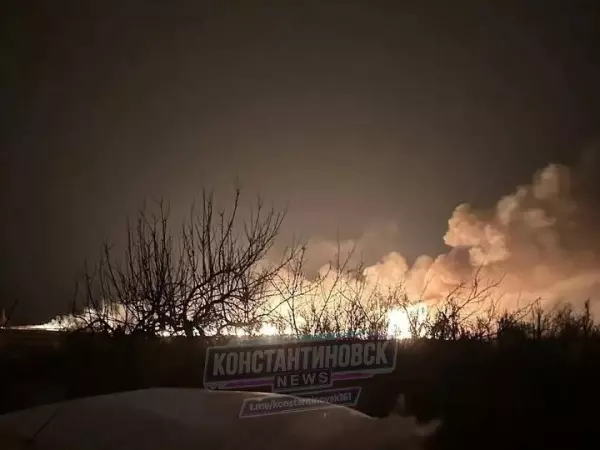 Фото к материалу: Крупный ландшафтный пожар потушили минувшей ночью в Ростовской области