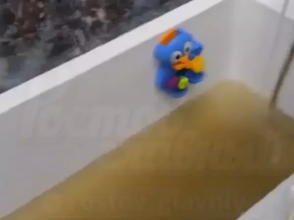 Фото к материалу: В центре Ростова жители жалуются на грязную воду из крана