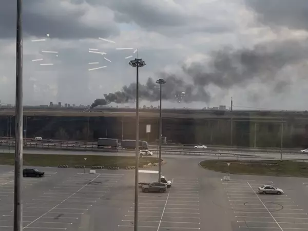 Фото к материалу: Масштабное выжигание сухой растительности проведут на Дону 18 марта