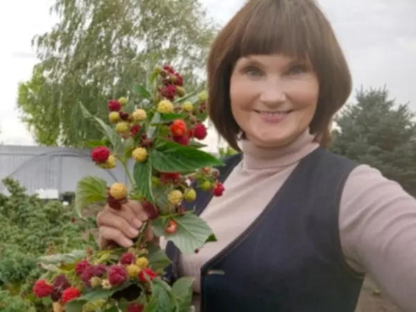 Фото к материалу: Дачница из Ростовской области поделилась правилами посадки малины
