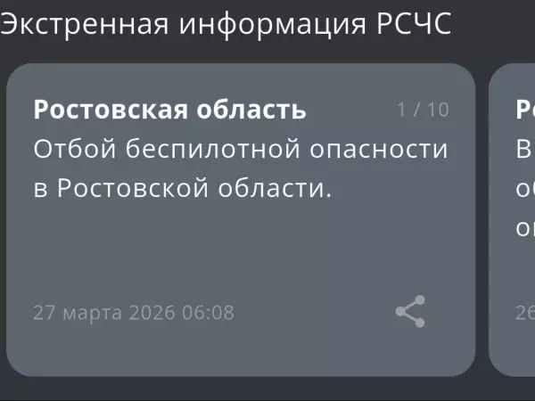 Фото к материалу: В Ростовской области утром 27 марта сняли режим беспилотной опасности