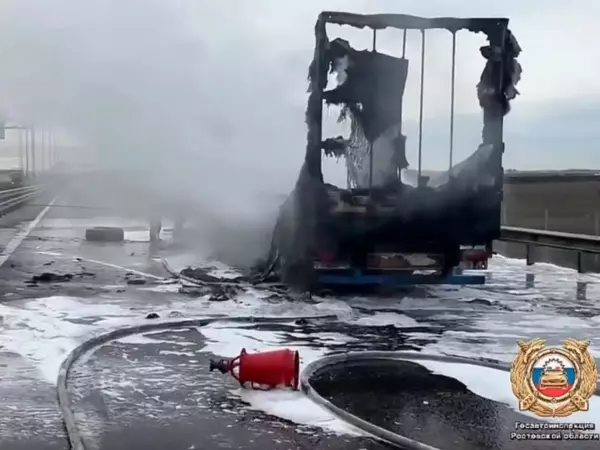 Фото к материалу: В Ростовской области на М-4 «Дон» сгорела фура