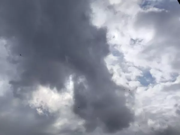 Фото к материалу: Над Ростовской областью сбили шесть дронов во время ночной атаки 16 марта