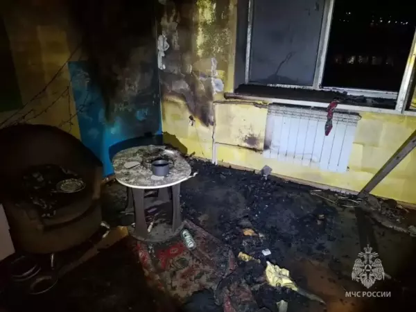 Фото к материалу: Двое мужчин сгорели заживо при пожарах в Ростовской области