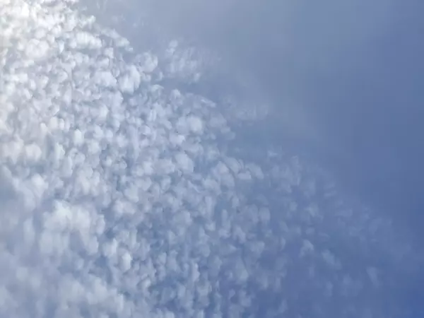 Фото к материалу: Обломки БПЛА вывезут из Таганрога, чтобы безопасно взорвать