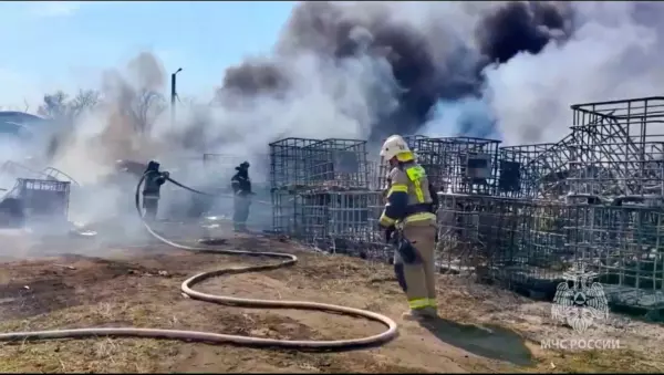 Фото к материалу: За сутки 25 марта сотрудники МЧС потушили 10 пожаров в Ростовской области