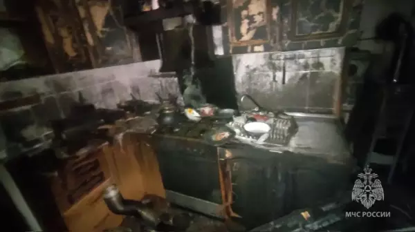 Фото к материалу: Один человек погиб и один пострадал в жутком пожаре в частном доме на Дону