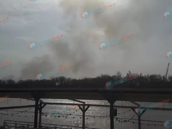 Фото к материалу: В Ростове на Левом берегу ландшафтный пожар охватил 500 квадратов 