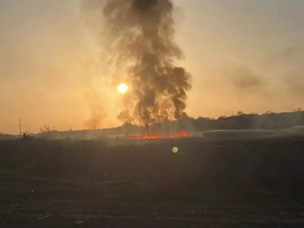 Фото к материалу: Возле Таганрогской птицефабрики произошел крупный ландшафтный пожар 