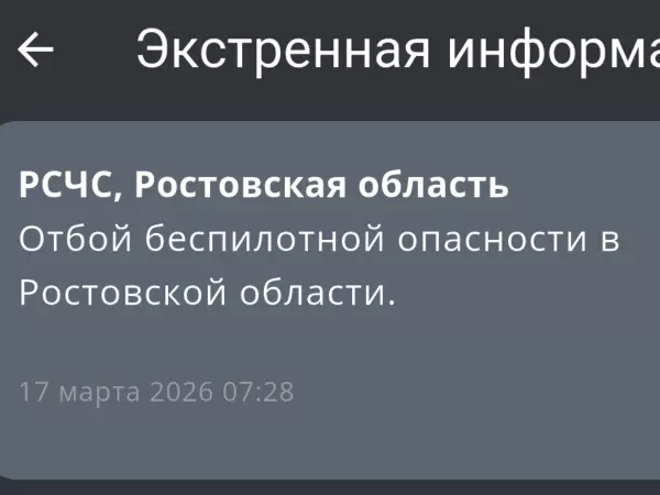 Фото к материалу: В Ростовской области утром 17 марта сняли режим беспилотной опасности