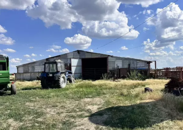 Фото к материалу: Два сарая и земельные участки: за 115 млн рублей на Дону продают ферму
